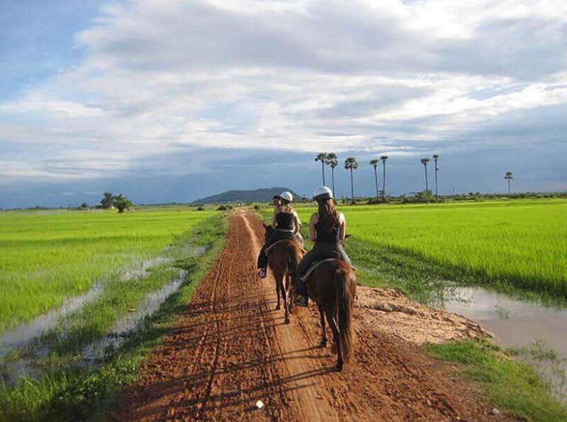 Siem Reap Happy Horse Riding Free Pick-up & Drop-off - An In-Depth Look at the Horse Riding Experience