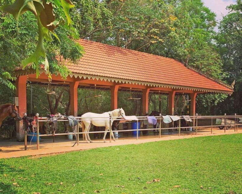 Siem Reap Happy Horse Riding Free Pick-up & Drop-off - Summary