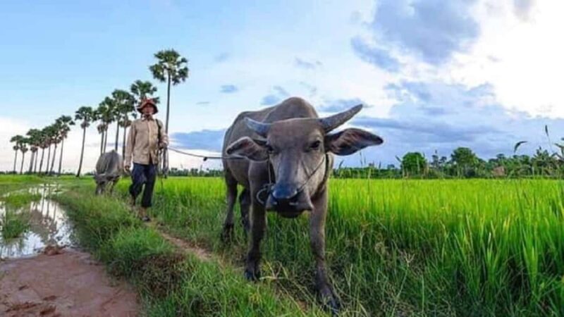 Siem Reap Jeep Tour: AMCountryside Vibes/ PMClassic Sunset - FAQ