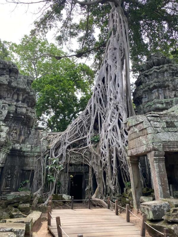 Siem Reap Jeep Tour: Angkor Wat Sunrise off the Beaten Path - FAQs