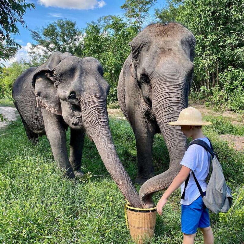 Siem Reap: Kulen Elephant Forest & Tonlesap Lake - The Sum Up