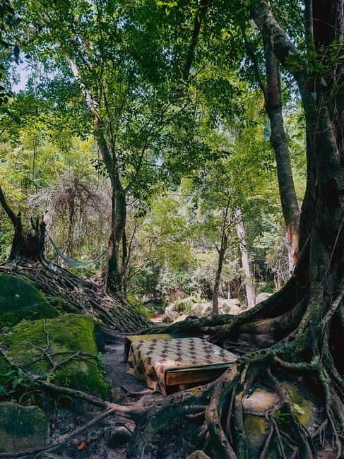 Siem Reap: Kulen Mountain, Beng Mealea, and Kampong Phluk - Summary: The Value of This Experience