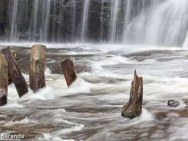 Siem Reap: Kulen Waterfall and 1000 Linga River Tour - What to Expect from the Kulen Waterfall and 1000 Linga River Tour