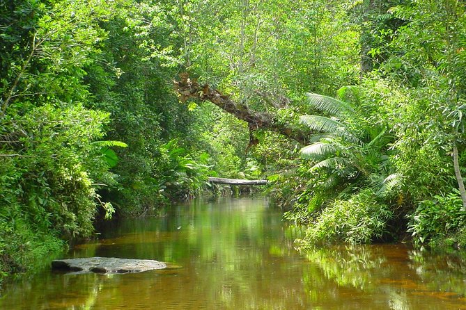 Siem Reap: Kulen Waterfall and 1000 Lingas River Private Tour - Customer Testimonials