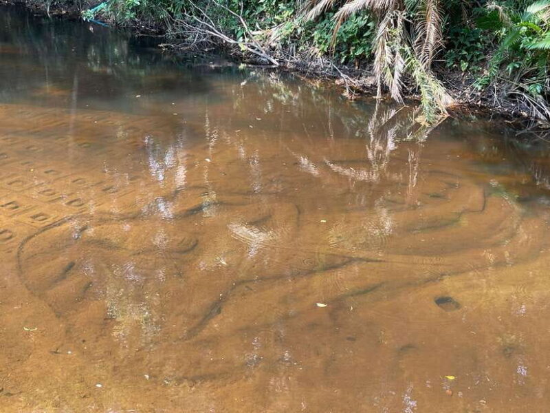 Siem Reap: Kulen Waterfall and Banteay Srei Exploration - Who Would Love This Tour?