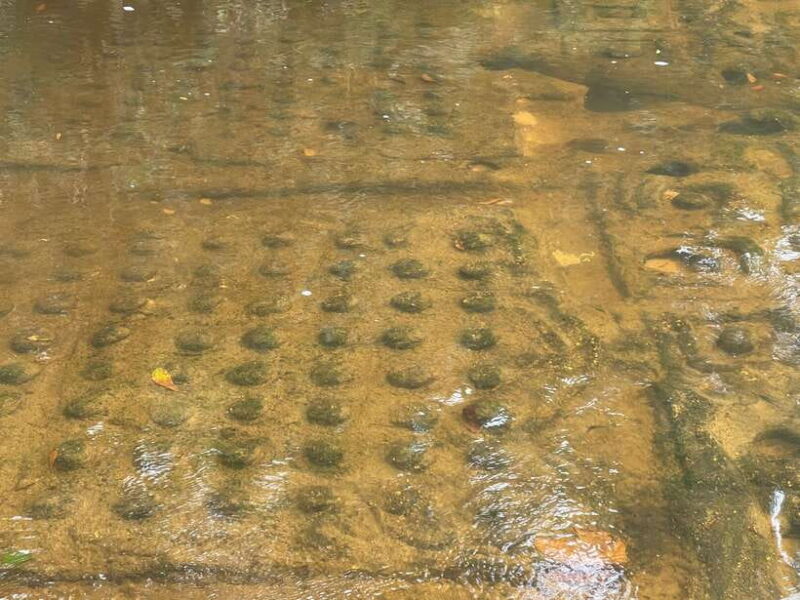 Siem Reap: Kulen Waterfall and Banteay Srei Exploration - Final Thoughts: Is It Worth It?