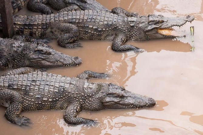 Siem Reap Lake-Side Village Tour - Pickup Details