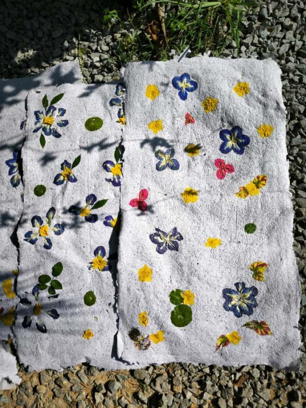 Siem Reap: Lotus Silk Farm - Tour, Lake & Artisan immersion - Good To Know  