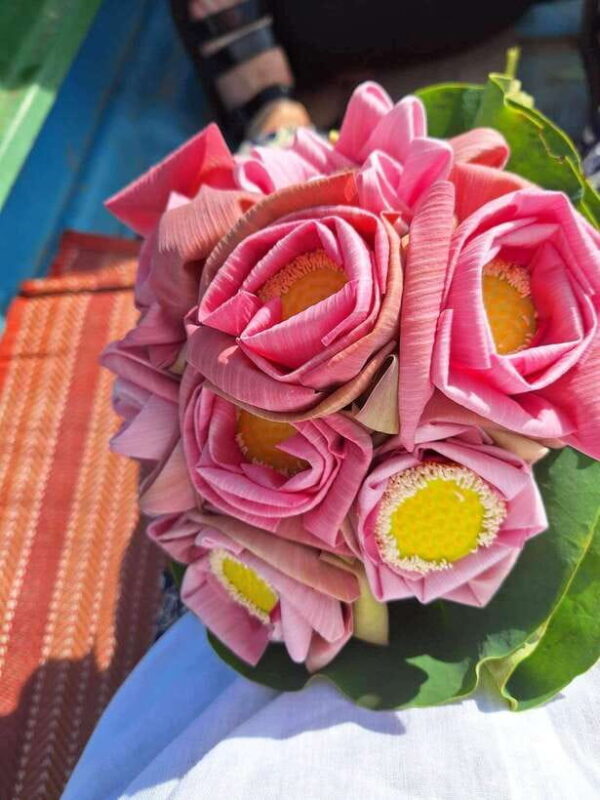 Siem Reap Lotus Silk Farm Tour with Pick Up downtown - The Sum Up: Is This Tour Worth It?