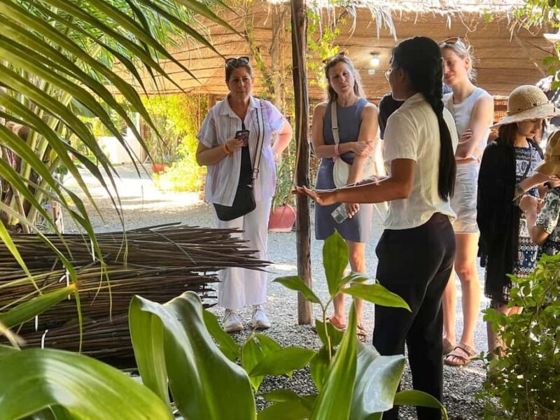 Siem Reap: Market, Temple, and Countryside Bike Tour - The Sum Up