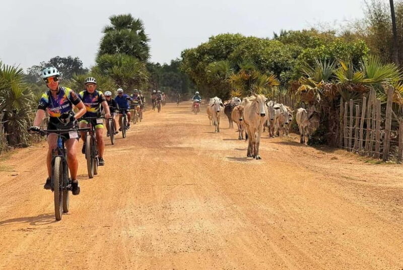Siem Reap Nature & Cultural Safari Cycling Adventure - Exploring the Itinerary in Detail