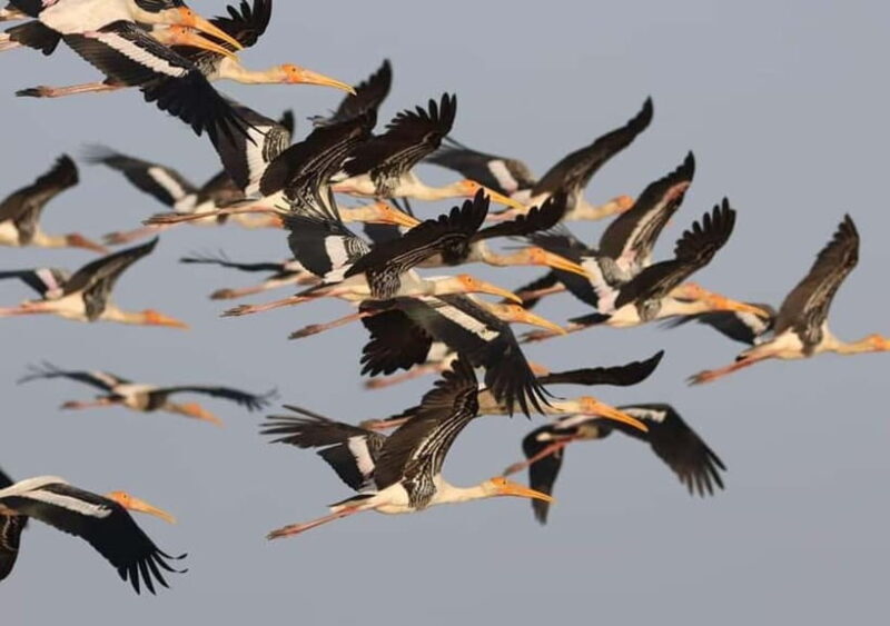 Siem Reap Nature & Cultural Safari Cycling Adventure - Final Thoughts: Who Should Consider This Tour?