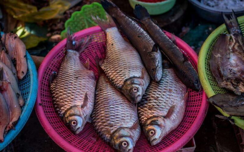 Siem Reap: Night Market Street Food Tour with Dinner - Final Thoughts