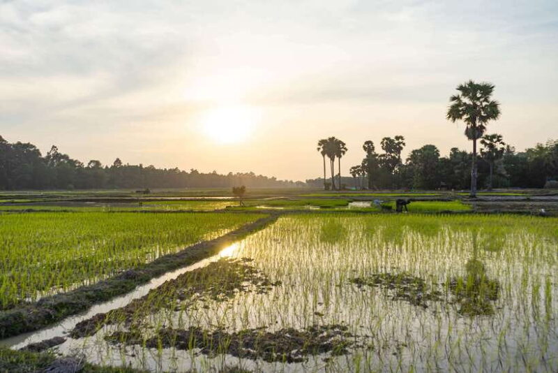 Siem Reap: Off-Road Ride Haft Day Tour - The Sum Up