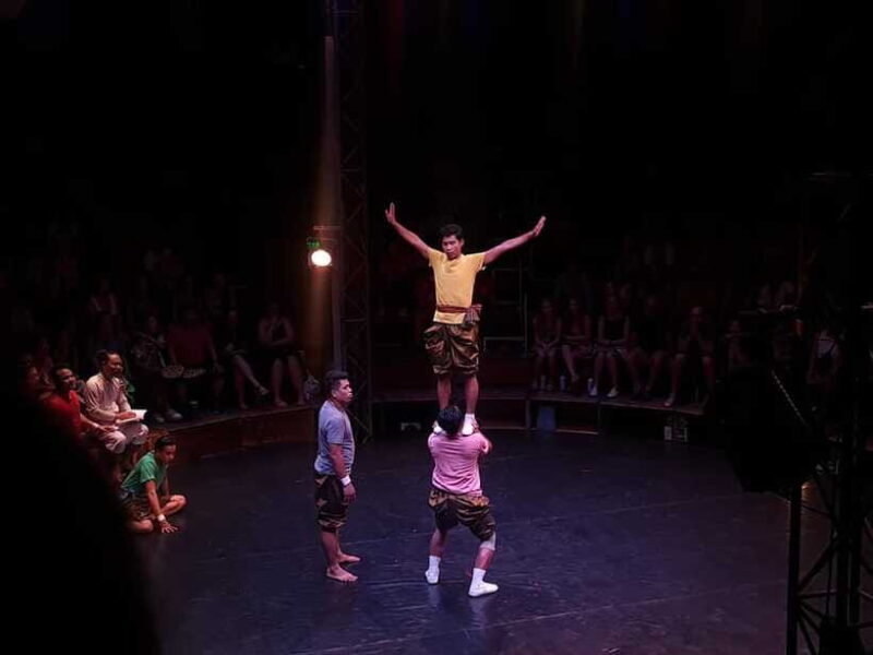 Siem Reap: Phare Circus Ticket with Tuk Tuk Transfer - Who Would Enjoy This?