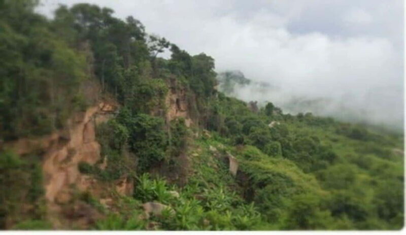 Siem Reap: Phnom Kulen and Banteay Srei Jeep Tour - Who Will Love This Tour?