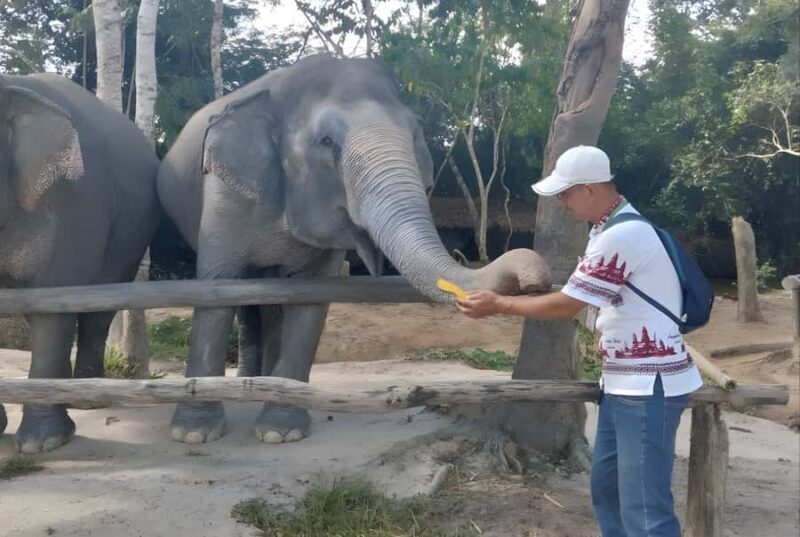 Siem Reap: Phnom Kulen & Elephant Sanctury Private Tour - FAQ