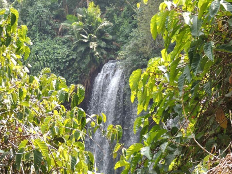 Siem Reap: Phnom Kulen Waterfall Tour - The Itinerary in Detail