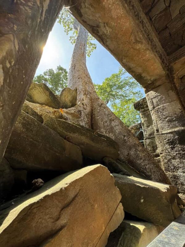 Siem Reap & Phnom Penh: 6-Day Tour Package Guided with Meals - Final Thoughts