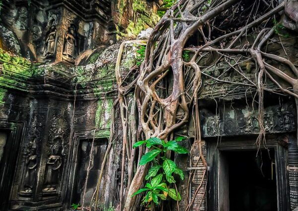 Siem Reap: Private Guided Day Trip to Angkor Wat With Sunset - Tips for a Memorable Experience