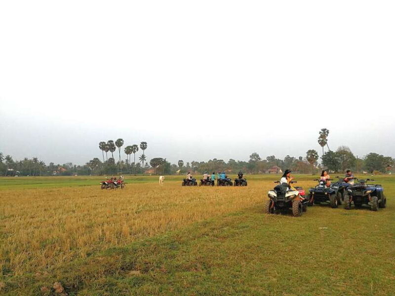 Siem Reap Quad Bike Countryside Tour - Value for Money
