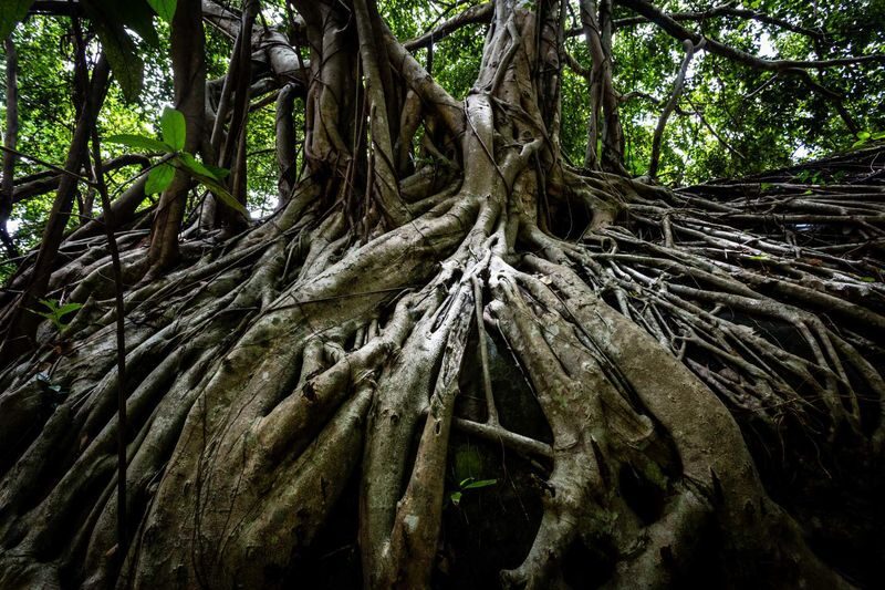 Siem Reap Sacred Mountain & Waterfall Day Tour - The River of a Thousand Lingas