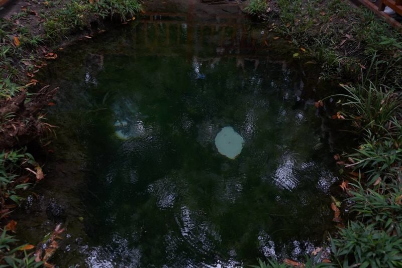 Siem Reap Sacred Mountain & Waterfall Day Tour - Should you book the Phnom Kulen day tour?