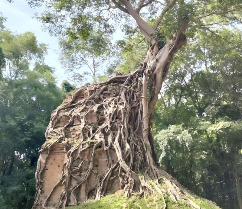 Siem Reap: Sambor Prei Kuk & Preah Kan Kampong Svay Tour - Who Should Consider This Tour?