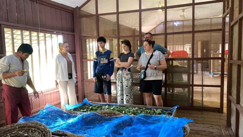 Siem Reap: Silk Farm, Handicraft Center, & War Museum Tour - Good To Know
