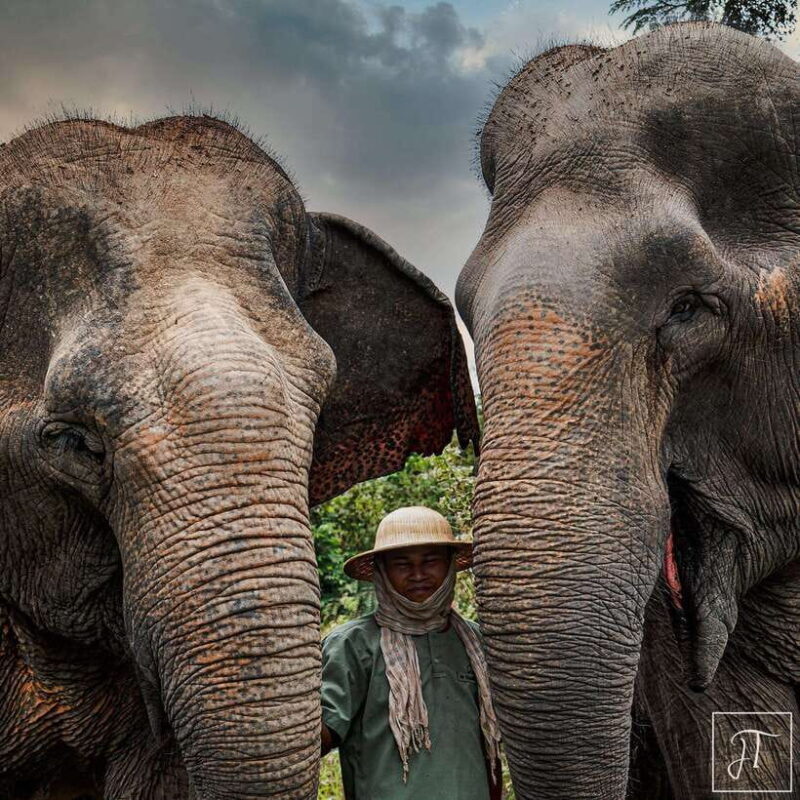 Siem Reap: Small Group Tour of Kulen Elephant Forest - A Deep Dive into the Kulen Elephant Forest Tour