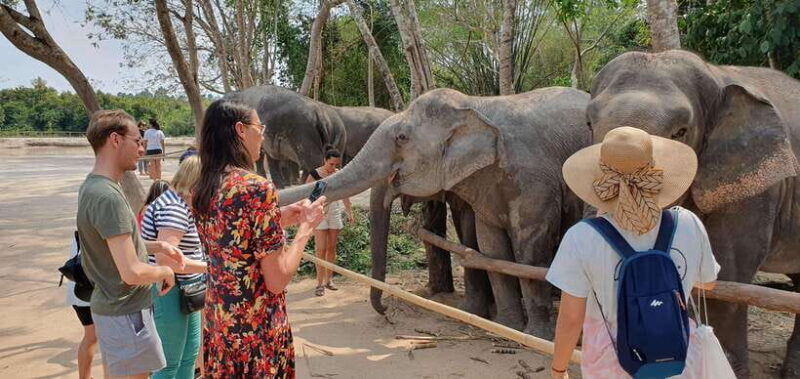 Siem Reap: Small Group Tour of Kulen Elephant Forest - Authentic Insights from Past Travelers