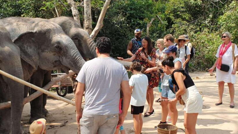 Siem Reap: Small Group Tour of Kulen Elephant Forest - Good To Know