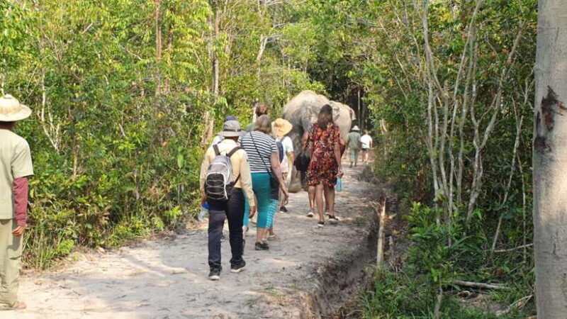 Siem Reap: Small Group Tour of Kulen Elephant Forest - FAQs