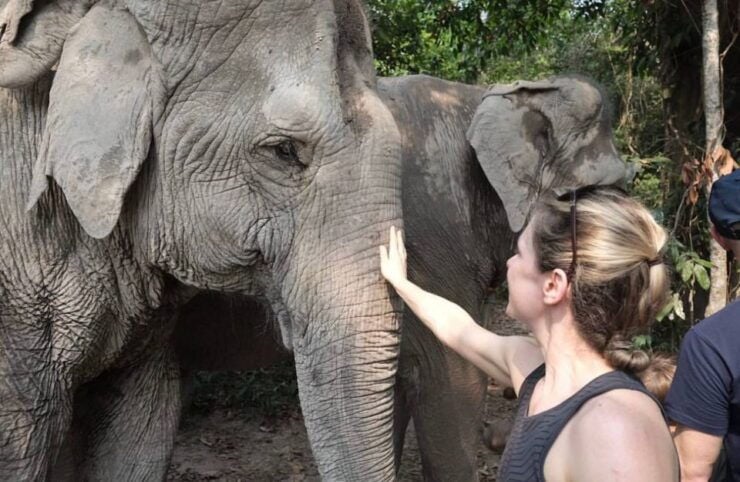 Siem Reap: Small Group Tour of Kulen Elephant Forest - Activity Details