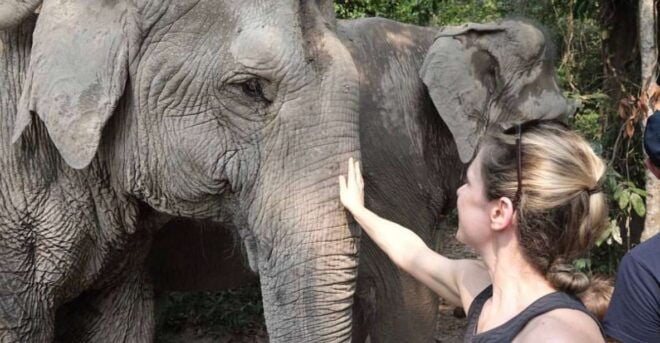 Siem Reap: Small Group Tour of Kulen Elephant Forest - Important Information