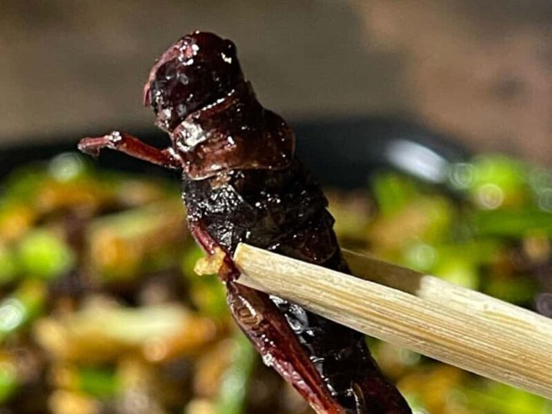 Siem Reap: Street Food in private & in English - What Sets This Tour Apart