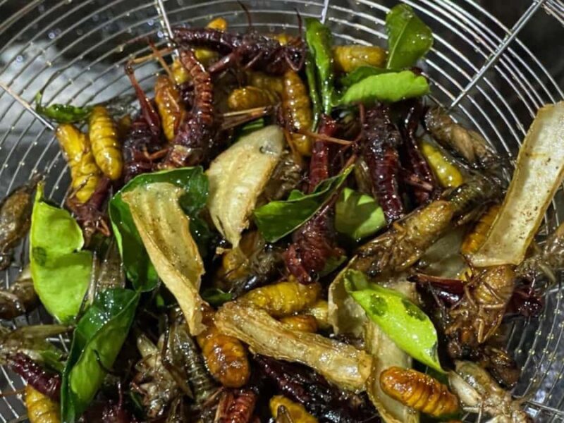 Siem Reap: Street Food in private & in English - Analyzing the Value