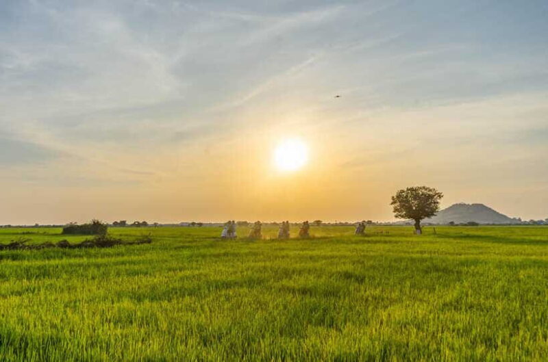Siem Reap: Sunset Guided Vespa Tour & Local Villages - FAQ