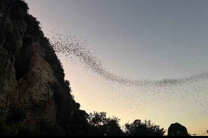 Siem Reap to Battambang Taxi, English Speaking Reliable Driver - Final Thoughts