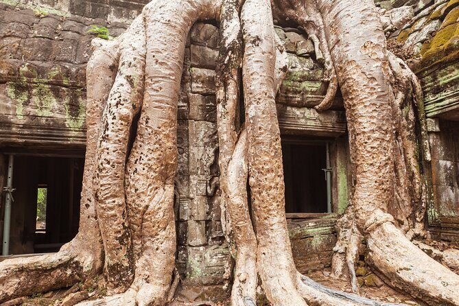 Siem Reap to Phnom Penh Journey 5 Day Cambodia Heritage Tour - Final Thoughts