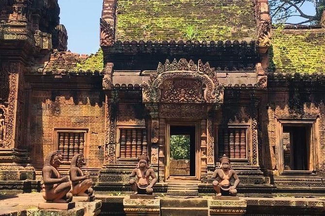 Siem Reap Tour Guide ( VIP Private Sunrise Tour, Angkor Wat, Bayon & Ta Prohm ) - The Sum Up