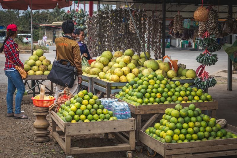 Siem Reap Ultimate Countryside E-Bike Tour - Is the ride right for you?