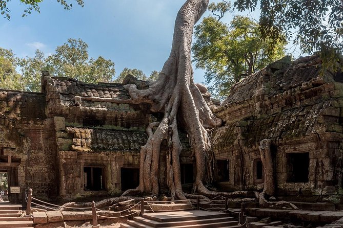Siem Reap'S Signature Temples Discovered - Siem Reaps Temple Tours Insights