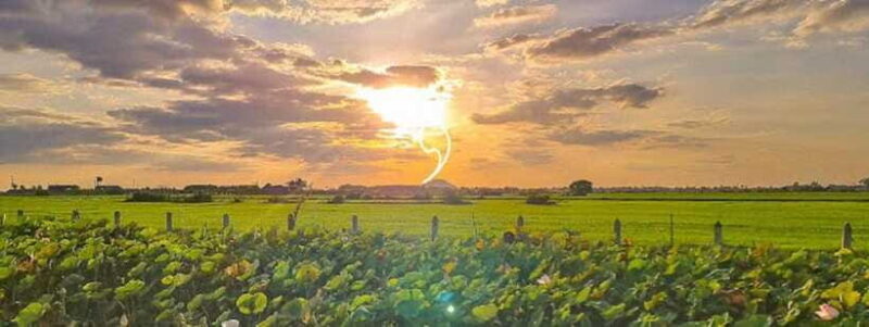 SiemReap Sunset Dinner Riding an Ox-Cart at Rice Paddy Field - Final Thoughts