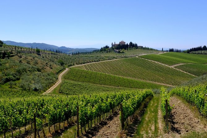 Siena and Chianti Wineries Excursion by Private Luxury Van From Florence - Customize Your Tour According to Your Interests