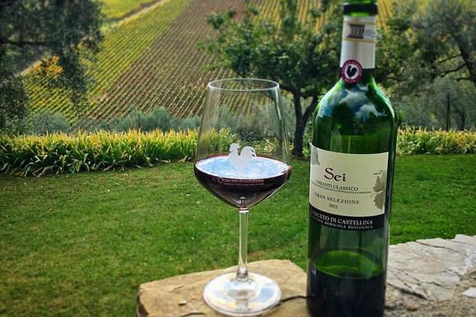 Siena and Chianti Wineries Excursion by Private Luxury Van From Florence - Price and Availability Details