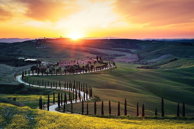 Siena and San Gimignano Private Tour From Rome - Siena: Exploring the Medieval Charm