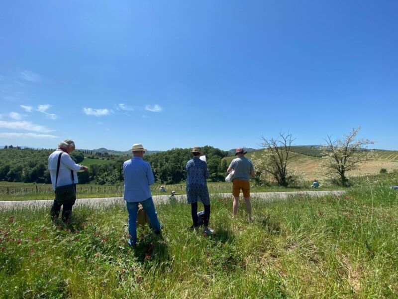 Siena and San Gimignano Tour by van from Lucca or Pisa - Who Will Love This Tour?