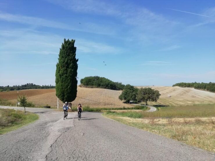 Siena: Chianti Classico Guided Cycling Tour - Booking Details