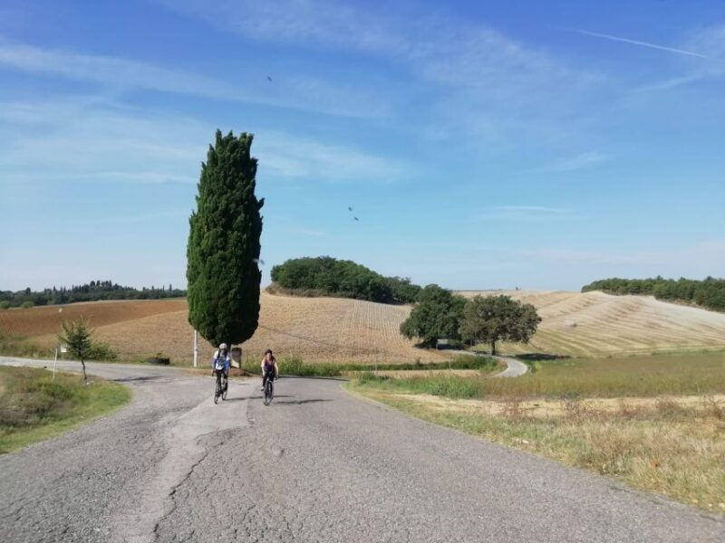 Siena: Chianti Classico Guided Cycling Tour - Siena: Chianti Classico Guided Cycling Tour